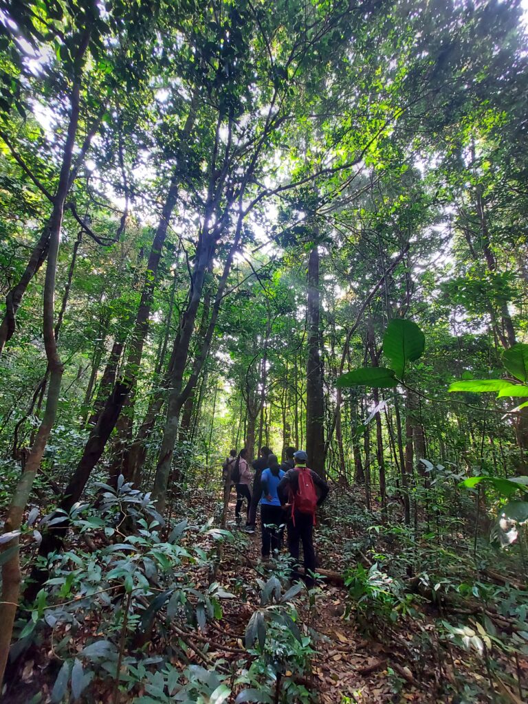 Trek to Narasimha Parvatha and Barkana Waterfalls | Agumbe